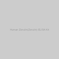 Image of Human Zonulin(Zonulin) ELISA Kit